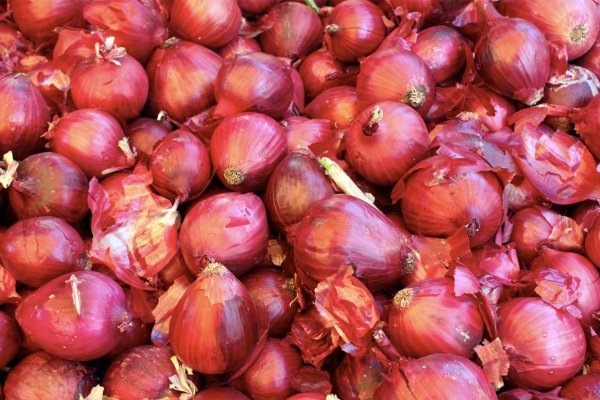 Кракен ссылка bazaonion com