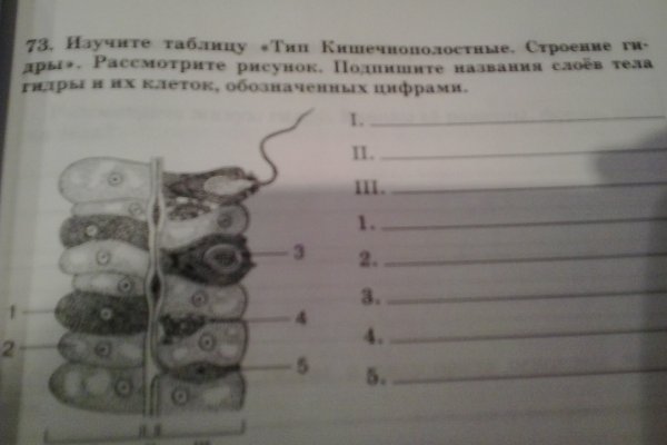 Почему сегодня не работает площадка кракен